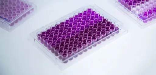 [T3214] Human CA125 ELISA Kit